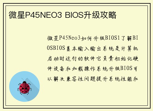 微星P45NEO3 BIOS升级攻略