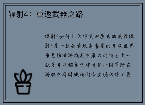 辐射4：重返武器之路